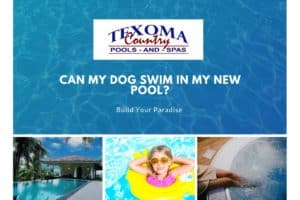 can my dog swim in my new pool texoma country pools spas sherman tx.